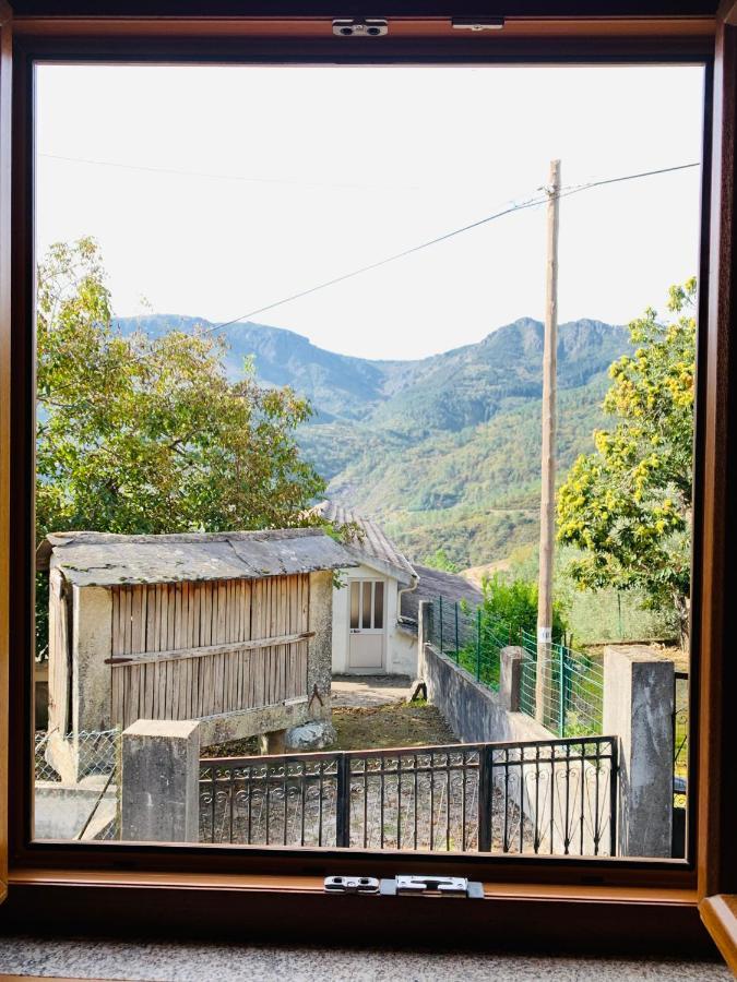 "Casa Do Avo Armindo" Mountain Experience Villa Vila Real Eksteriør billede