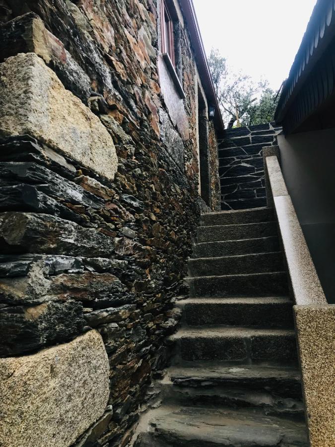 "Casa Do Avo Armindo" Mountain Experience Villa Vila Real Eksteriør billede